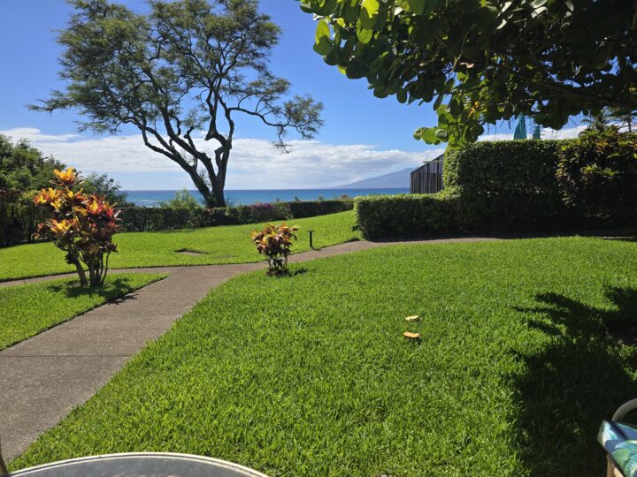 Napili Point grounds  - Ocean View  units