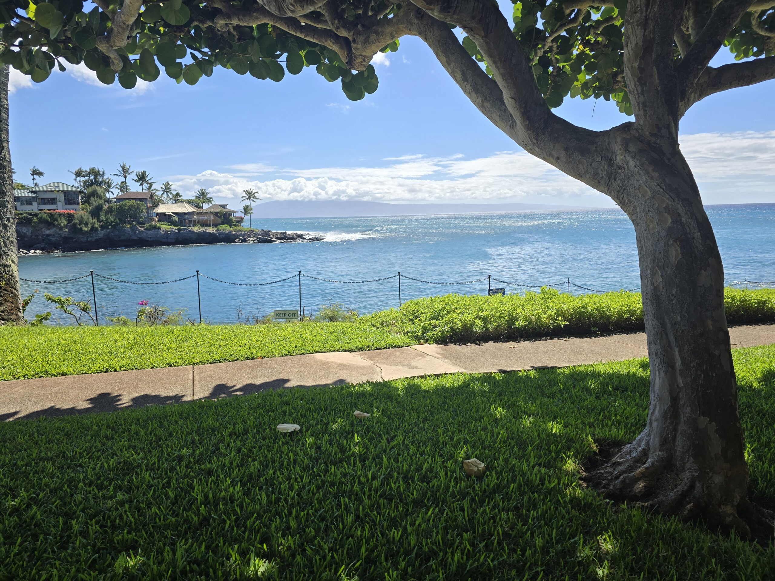 View of Napili bay from the grounds of the Napili Point Resort