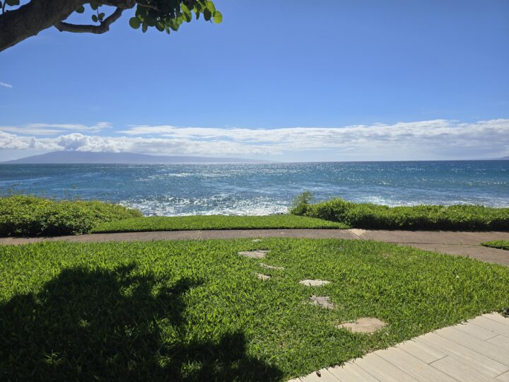 Napili Point grounds  - Point Ocean Front  units